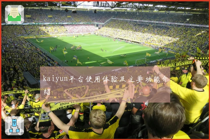 kaiyun平台使用体验及主要功能介绍