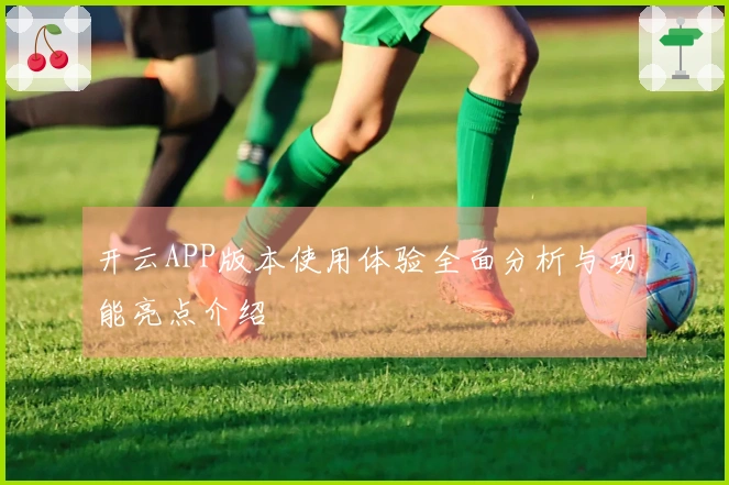 开云APP版本使用体验全面分析与功能亮点介绍