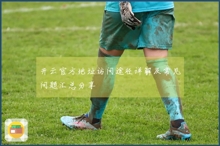 开云官方地址访问途径详解及常见问题汇总分享